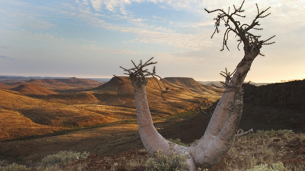 Etendeka Mountain Camp